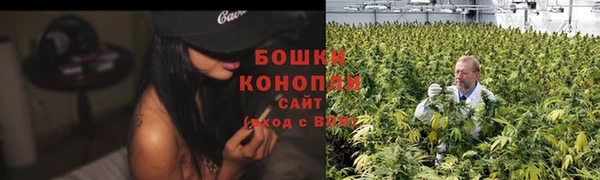 гашик Богородск