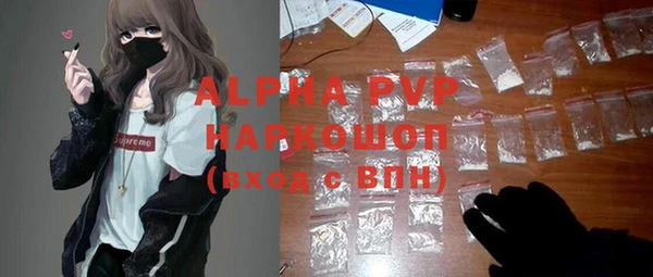 гашик Богородск