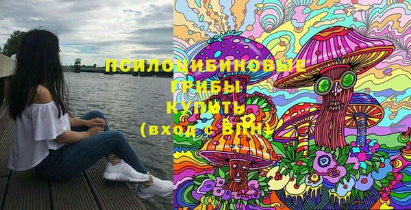 прущая мука Богородицк