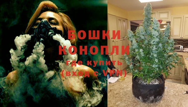 гашик Богородск