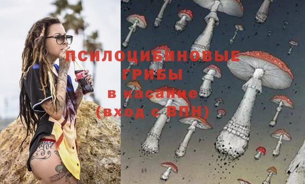 прущая мука Богородицк