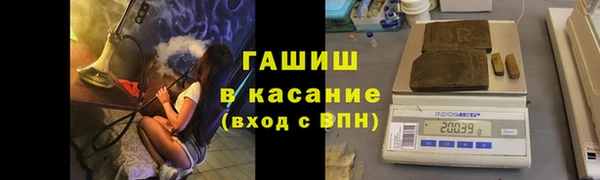 гашик Богородск