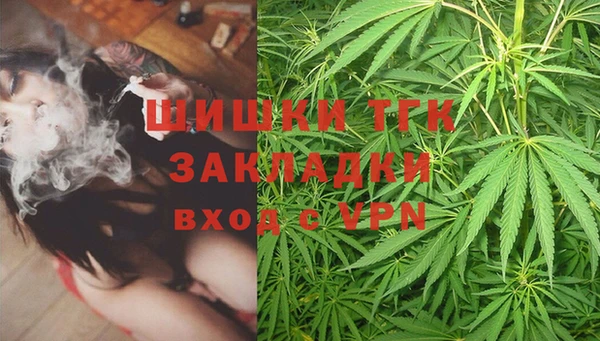 гашик Богородск