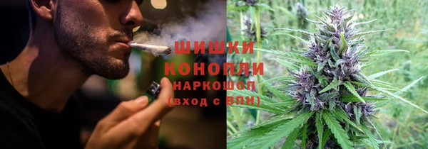 гашик Богородск