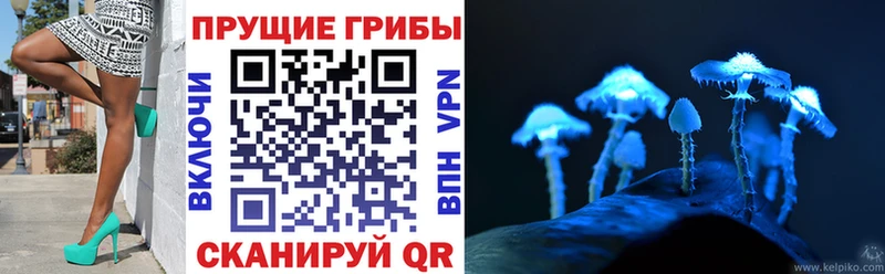 как найти наркотики  Вятские Поляны  kraken ссылки  Псилоцибиновые грибы Magic Shrooms 