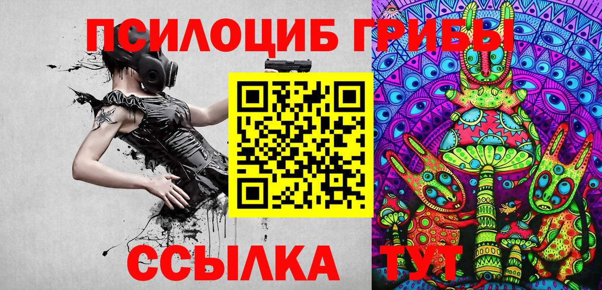 Псилоцибиновые грибы Magic Shrooms Вятские Поляны