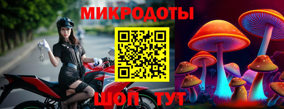 Псилоцибиновые грибы MAGIC MUSHROOMS  Галлюциногенные грибы GOLDEN TEACHER  купить закладку  Вход с VPN  Вятские Поляны 