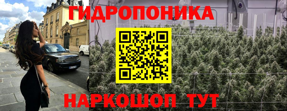 Вятские Поляны  Бошки Шишки марихуана  Бошки Шишки LSD WEED  МАРИХУАНА семена  Вход с VPN 